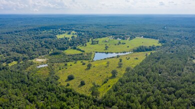 6333 Co Rd 393 Aerial-5