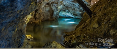 If you purchase all the lots on Shoal Ridge (also listed by the seller; in addition to the Waterfall Tract+more) - you can have your CAVE that you could hike, bike, roll, drive, stroll from to your Waterfall!!Who can say they actually own a CAVE and Waterfall like this? You can!!!! Welcome to YOUR NATURE PARK!!!!