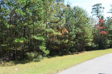 0 Sky Forest Cir unit 81641979, Magnolia, TX 77355 - photo 7