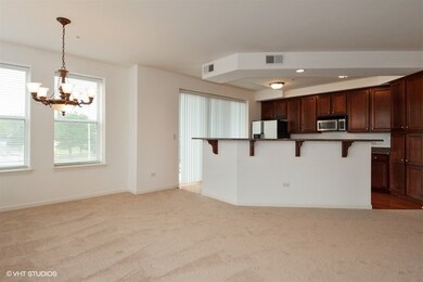 104 E 11th Ave unit 305, Naperville, IL 60563 - photo 6