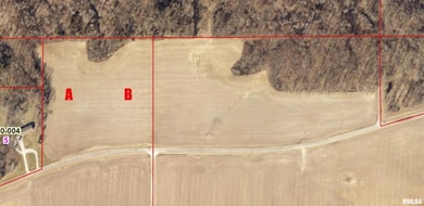 000A Alma Hatchery Rd, Odin, IL 62870 - photo 2