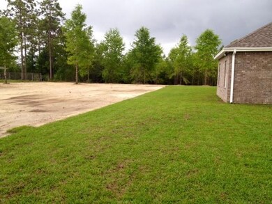 huge backyard