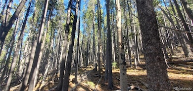 Lot 2682 & 2683 Purnell Ln unit 2682,2683, Fort Garland, CO 81133 - photo 4