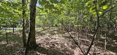 Lot 327 Two Lake Trail, Dunlap, TN 37327 - photo 7