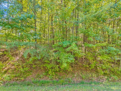 Lot 3&4 W Laurel Way, Monterey, TN 38574 - photo 5