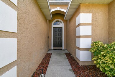 414 Cypress View Dr, Oldsmar, FL 34677 - photo 6