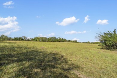 543 1-A Wild Rose Loop, Grant Township, MO 65757 - photo 2