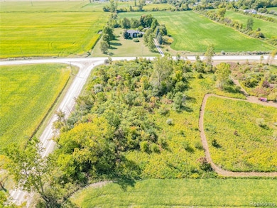 9991 Mccrone Rd, Milan, MI 48160 - photo 2