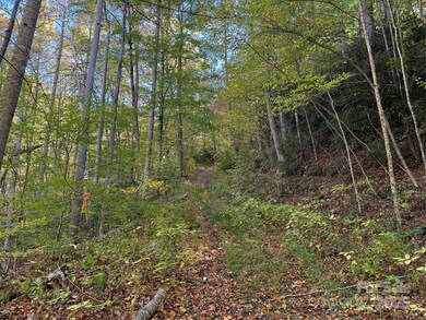 3440 Hamburg Rd, Mars Hill, NC 28754 - photo 7