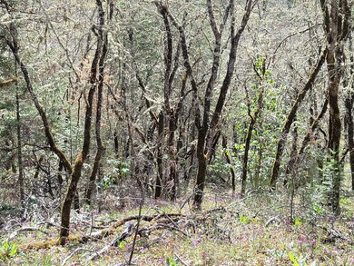 6998 Lower River Rd, Grants Pass, OR 97526 - photo 3