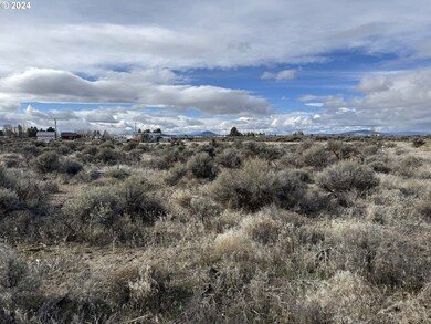 0 SE Cypress St unit 1200 24454958, Christmas Valley, OR 97641 - photo 5