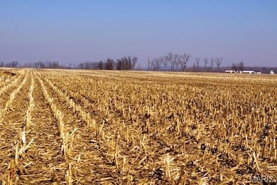 0 Norton Woods Rd unit 17073496, Elsberry, MO 63343 - photo 5