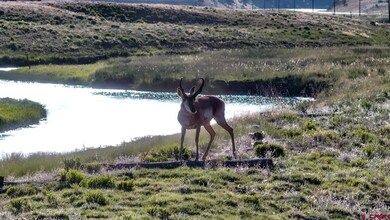 9173 Highway 24 unit The Preserve Ranch, Hartsel, CO 80449 - photo 7