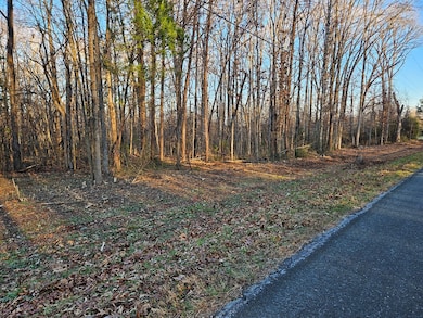 0 Physic Spring Rd, Dillwyn, VA 23936 - photo 3