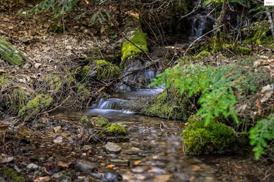 Lot 7 Sled Run Trail, Clark Fork, ID 83811 - photo 3
