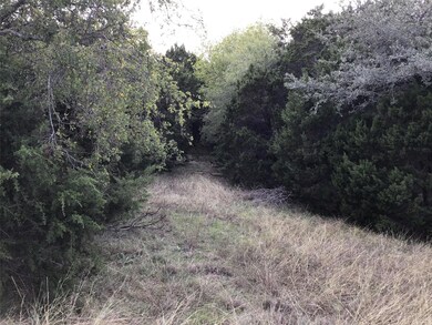 19019 Bluebonnet Dr, Whitney, TX 76692 - photo 2