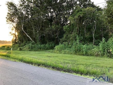 0 Park, Patterson, LA 70392 - photo 2