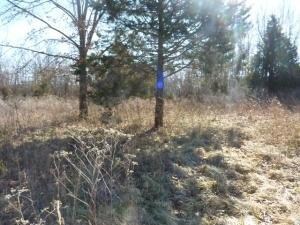 1633 Hawkins Rd, Harrison, AR 72601 - photo 3