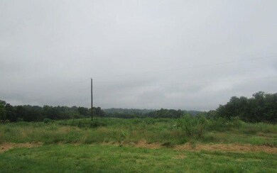 6175 Metcalf Mill Rd, Ewing, KY 41039 - photo 6