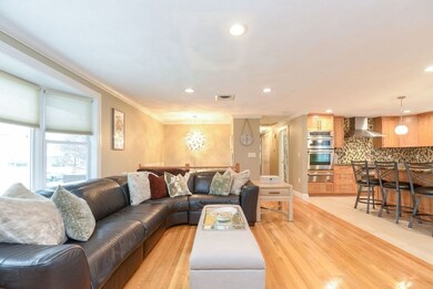 10 Squire Ct, East Walpole, MA 02032 - photo 4