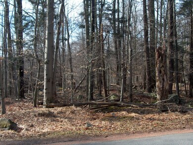 52 Red Hawk Dr, Paupack Township, PA 18436 - photo 2