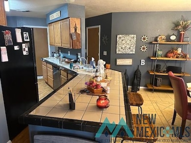 1715 Watson Ct, Carlsbad, NM 88220 - photo 6