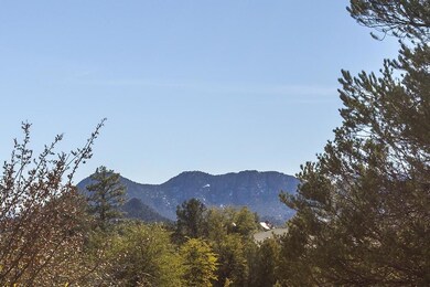 View from driveway