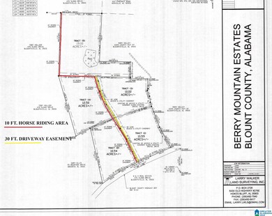 0 Highway 57 unit 21389578, Blountsville, AL 35031 - photo 2