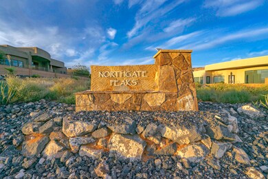 Northgate Peaks community-210