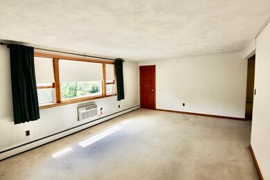 14 Parsons St unit 16, West Newton, MA 02465 - photo 6