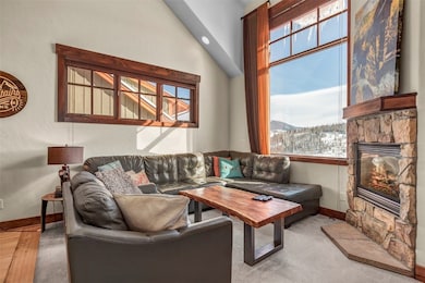 30 Cr 1293 unit C, Silverthorne, CO 80498 - photo 4