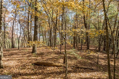 TR 2 Old Anderson Creek, Ellijay, GA 30536 - photo 6