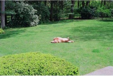 167 Country Club Ln, Brockton, MA 02301 - photo 5