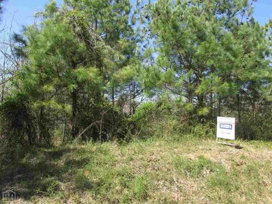 0 County Road 755, Jonesboro, AR 72401 - photo 3