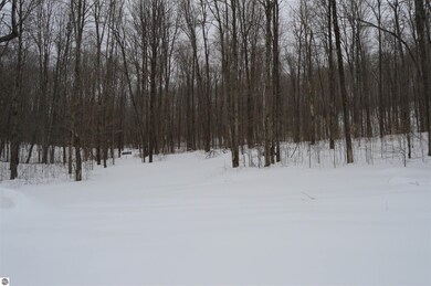 1556 S Magee Rd, Vanderbilt, MI 49795 - photo 5