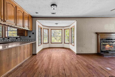 1159 County Road 479d 2, Mount Enterprise, TX 75681 - photo 7