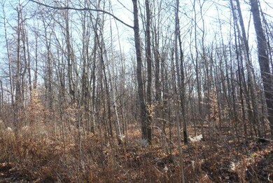 Hardwoods