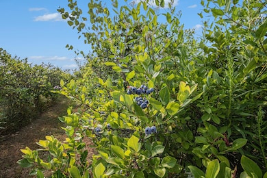 124 68th St, South Haven, MI 49090 - photo 4