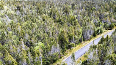 Lot 39 Yoho Head Rd, MacHiasport, ME 04655 - photo 3