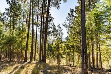 14297 Caddisfly Ct, Clinton, MT 59825 - photo 5