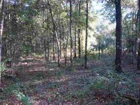 0 Jean Dr unit 283288, Crawfordville, FL 32327 - photo 4