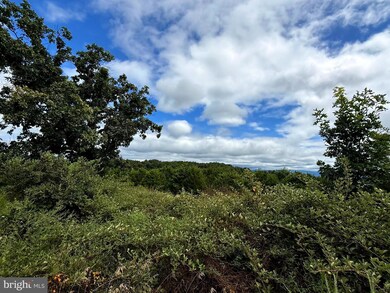 425 Wisteria Ln, Old Fields, WV 26845 - photo 2