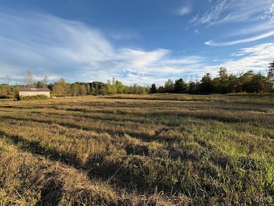 0 Rsa Rd, Hastings, NY 13036 - photo 6