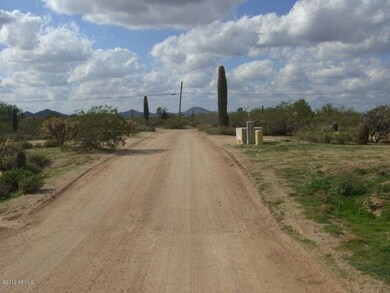 Horse's and Dog's Welcome