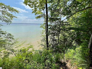 0 S Lee Point Rd unit 1938833, Suttons Bay, MI 49682 - photo 7