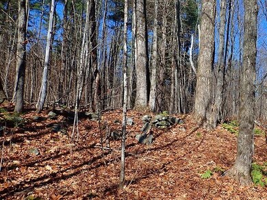 00 Fisher Rd, Roxbury, VT 05669 - photo 6