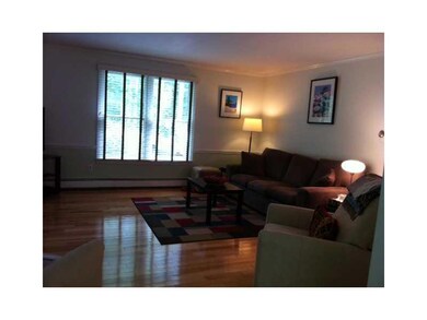 Living Room. LIving room windows...