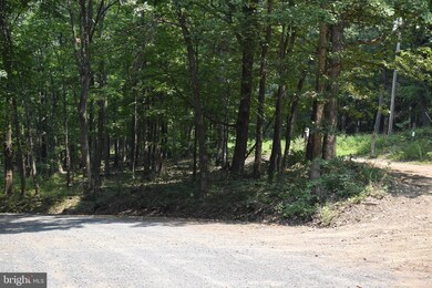 0 Tanglewood Dr, Augusta, WV 26704 - photo 7