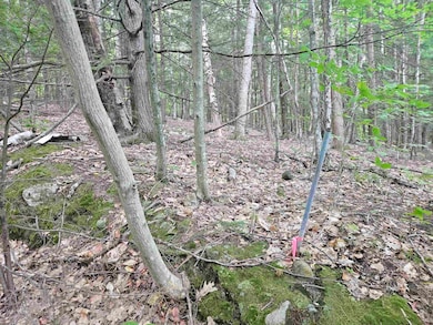 Map 132 Lot 115 Arrowhead Ln, Gilmanton, NH 03237 - photo 3