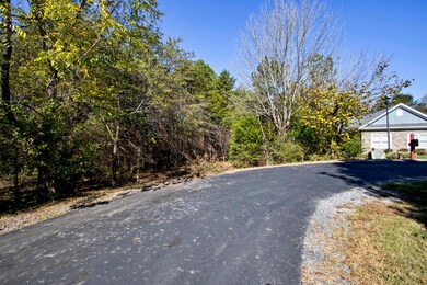 319 Gadusi Ln, Loudon, TN 37774 - photo 4
